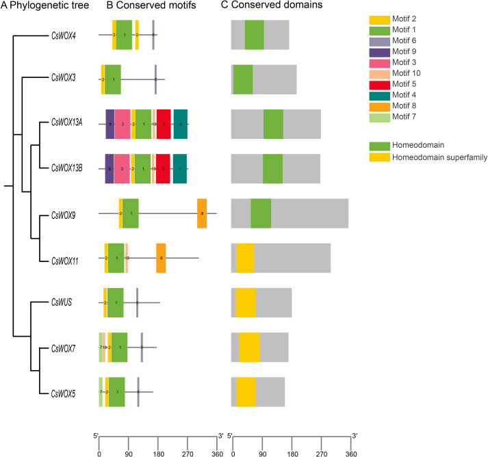 Figure 2
