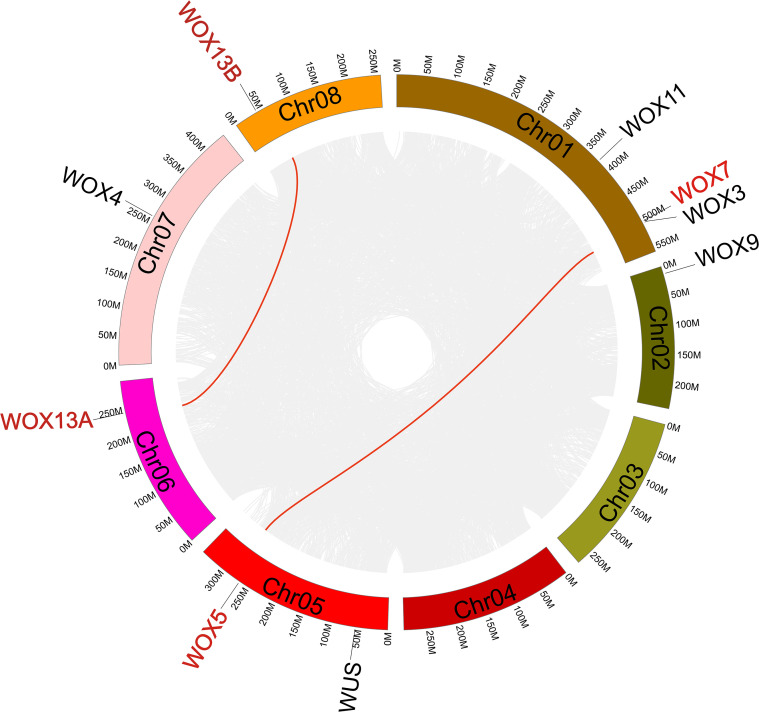 Figure 4