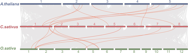 Figure 5