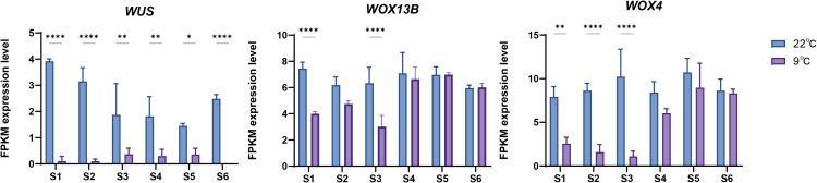 Figure 7
