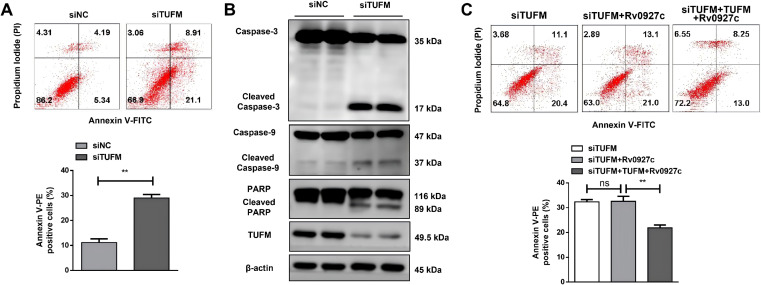 Figure 5