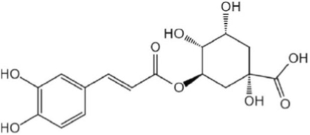 FIGURE 1