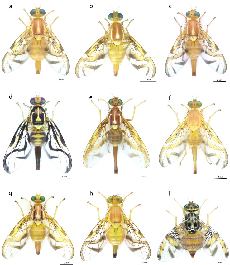 Figure 3