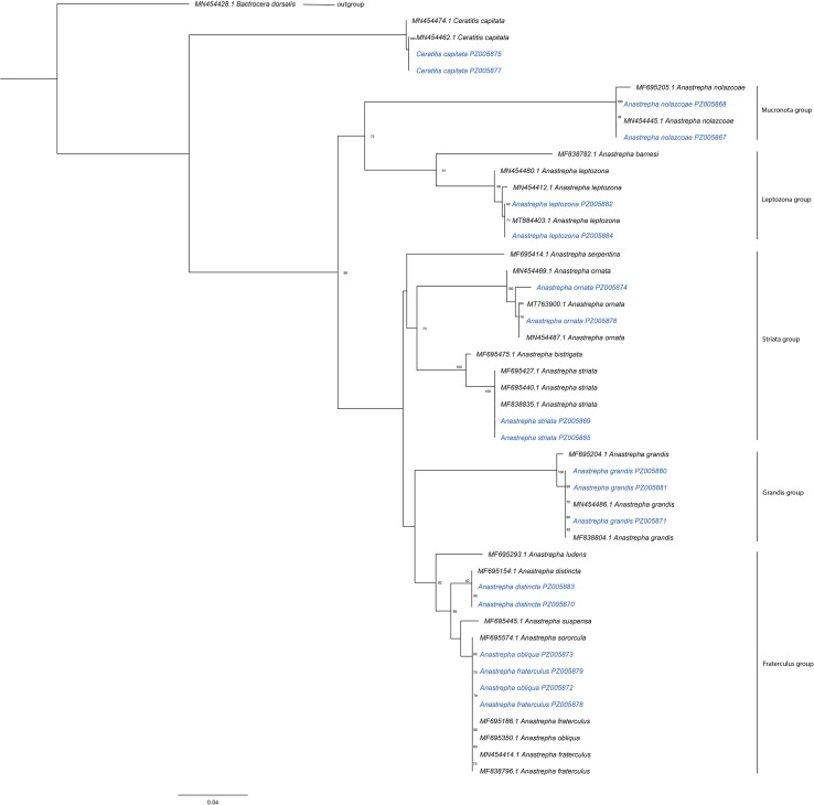 Figure 4