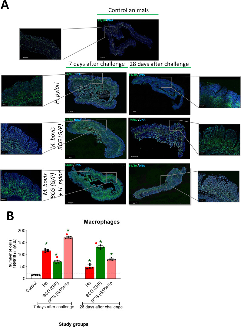 Figure 3