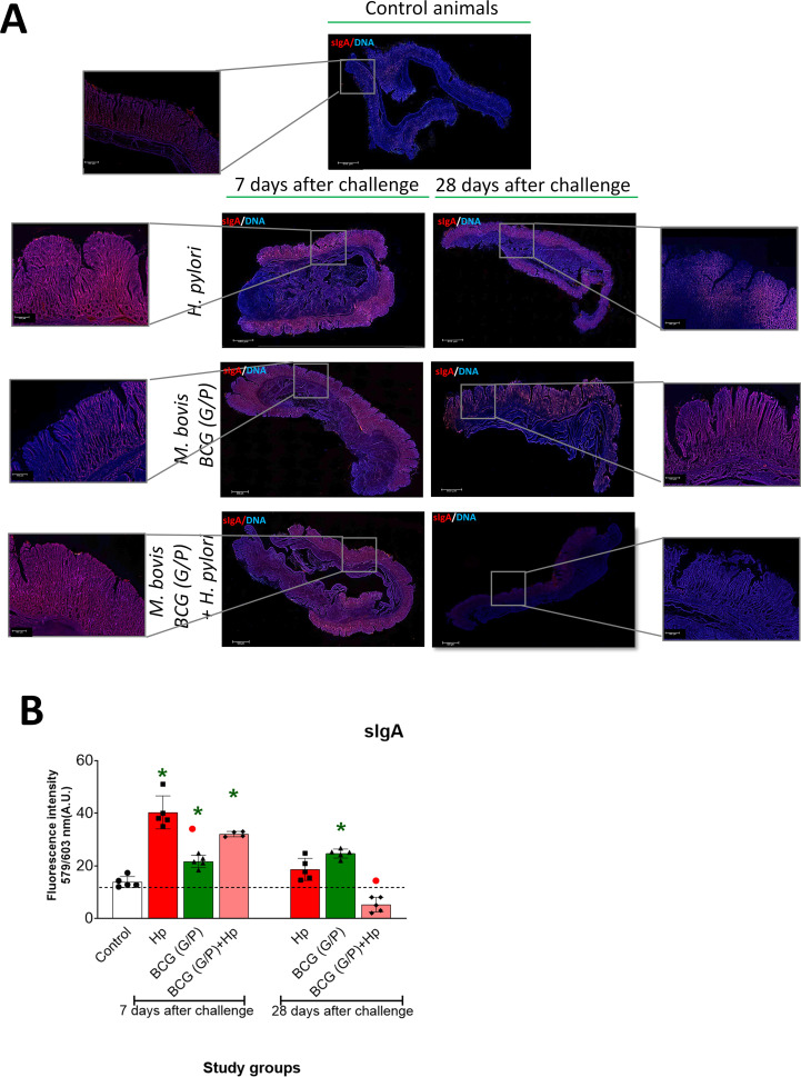 Figure 7