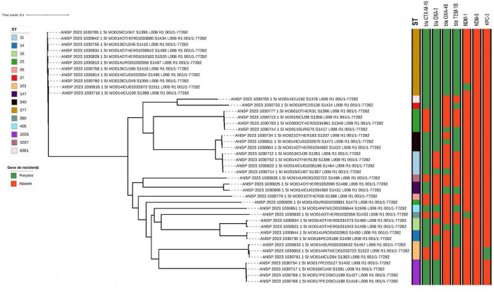 FIGURE 3