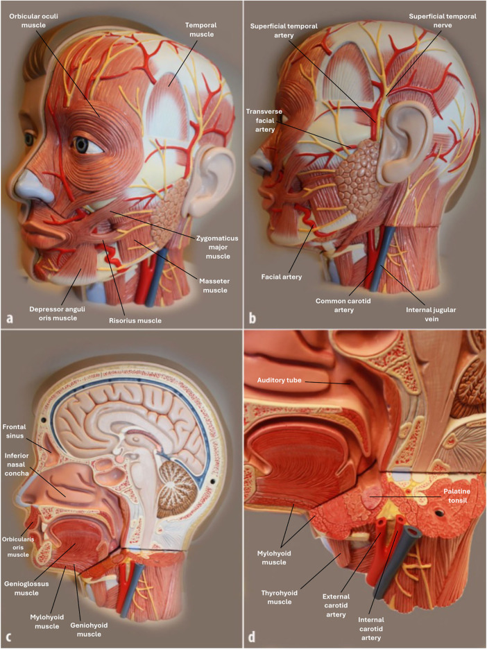 Figure 2