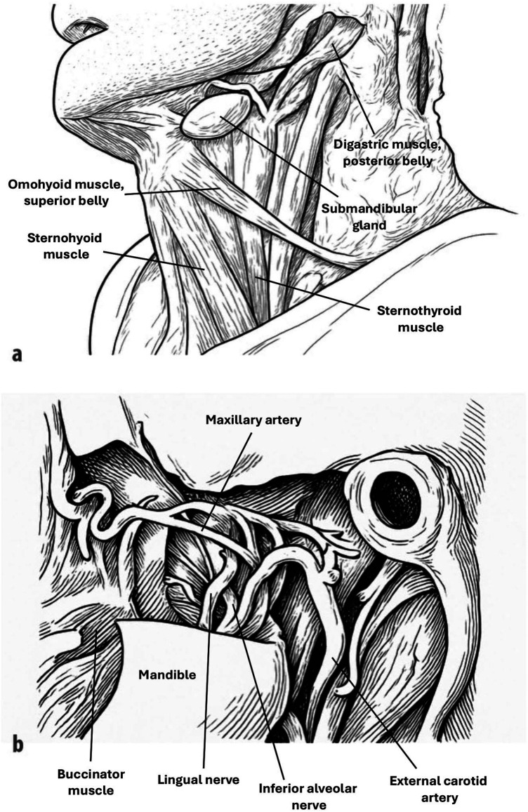 Figure 3