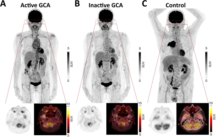 Figure 1