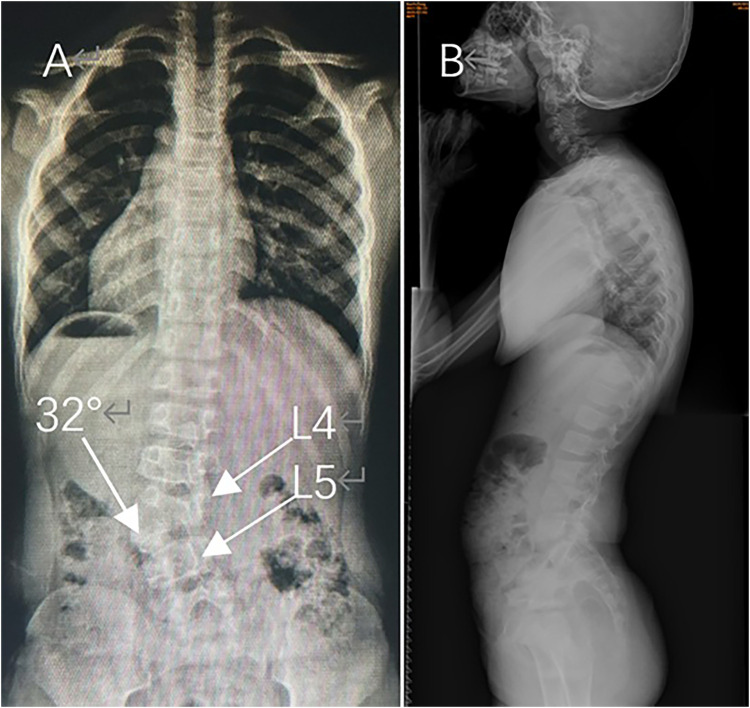 Figure 1