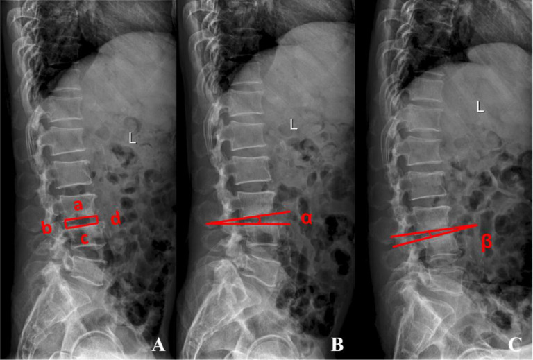 Figure 2
