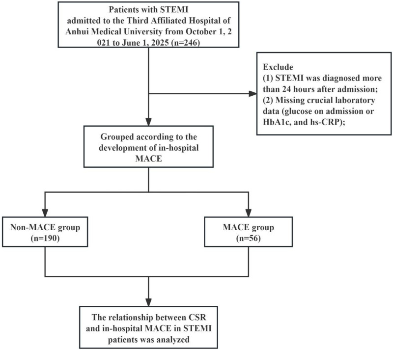 Figure 1