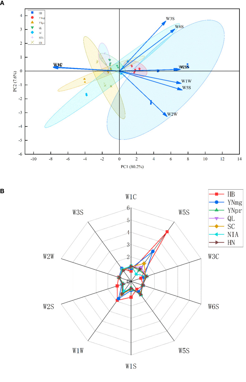 Figure 5