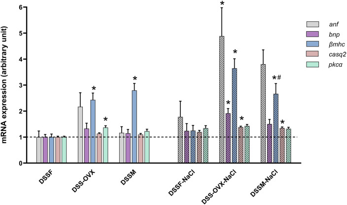 Figure 4