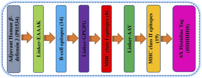 FIGURE 2