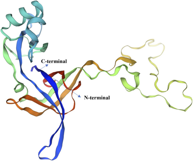 FIGURE 4