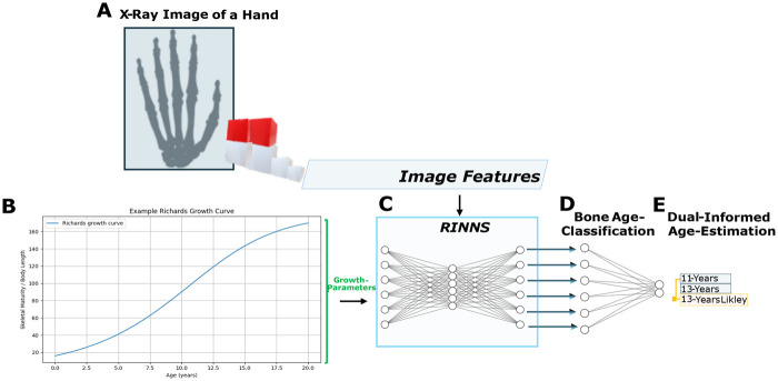 Figure 1