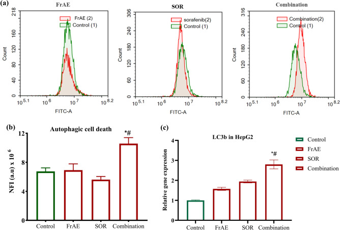 Figure 13