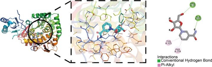 Figure 7
