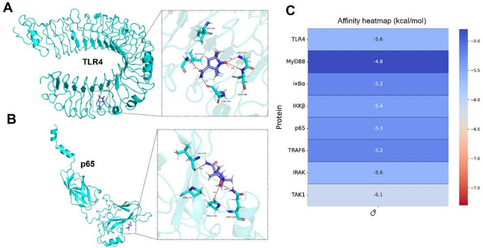 Figure 6