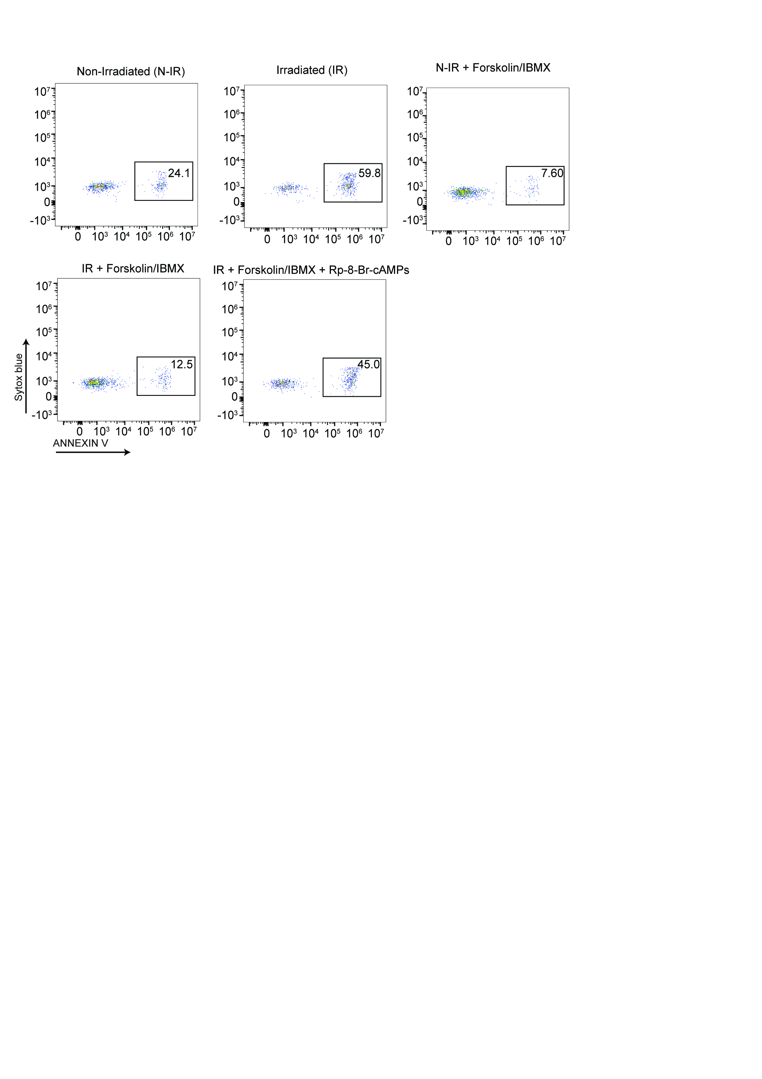 Figure 7