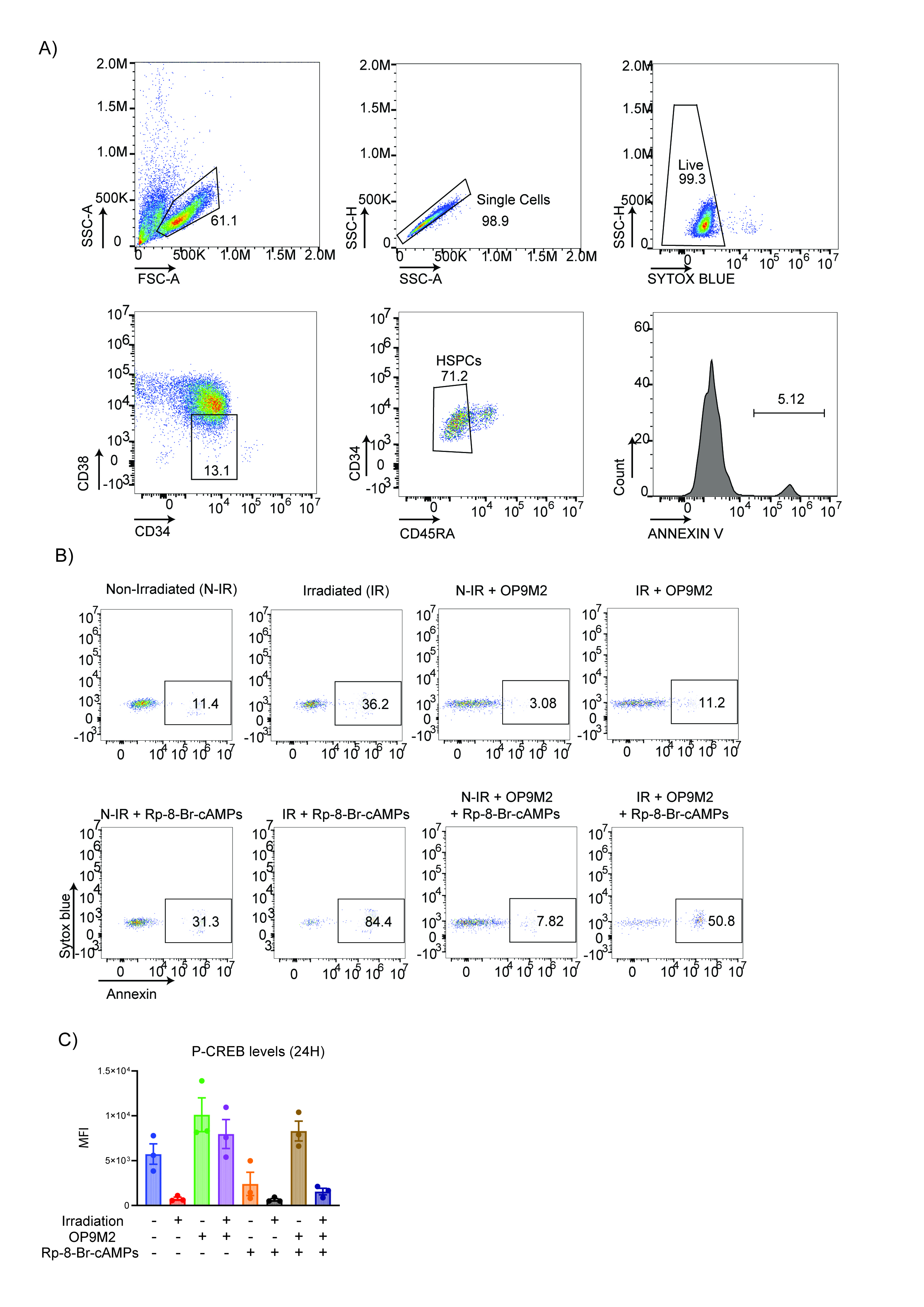 Figure 19