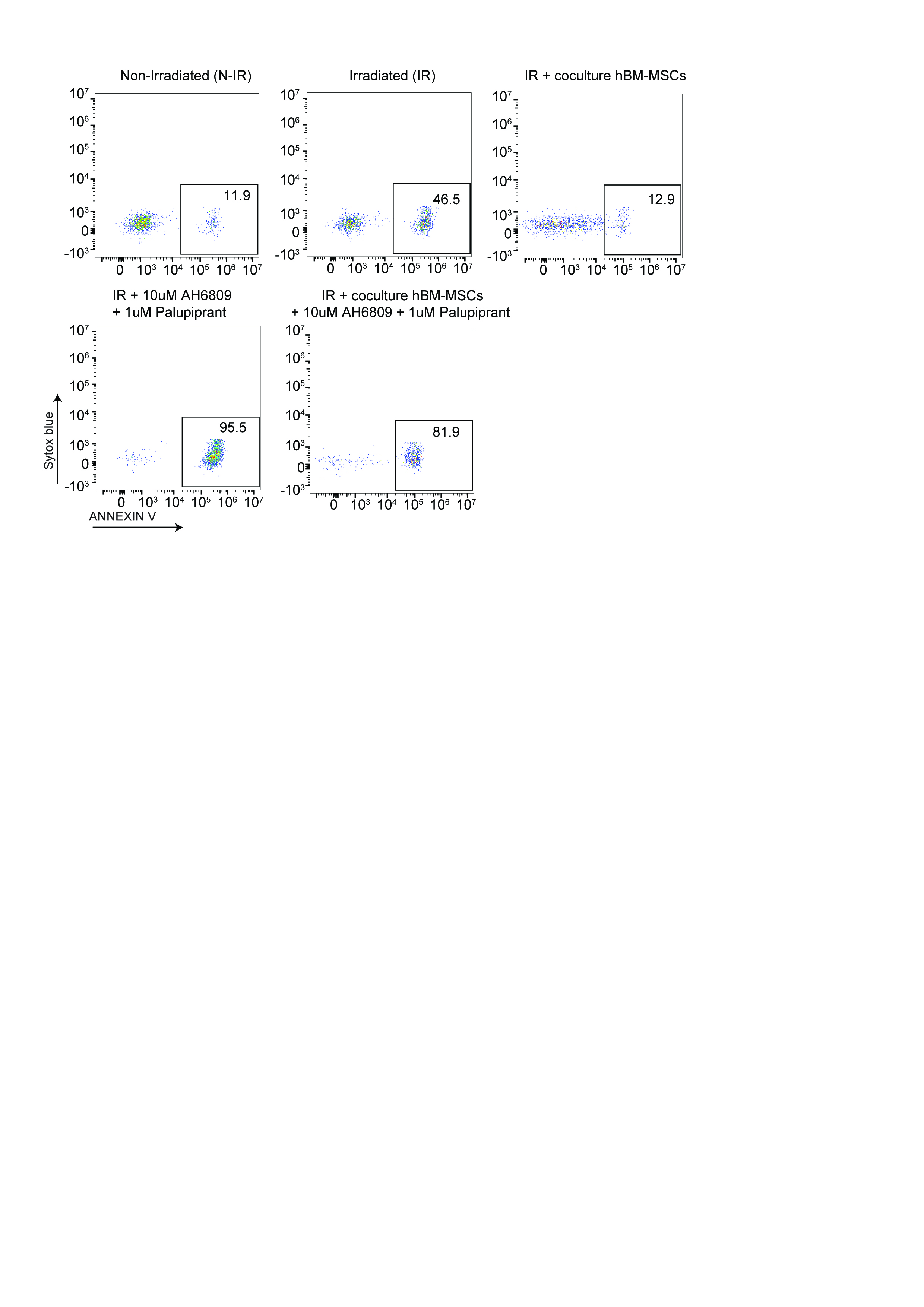 Figure 21