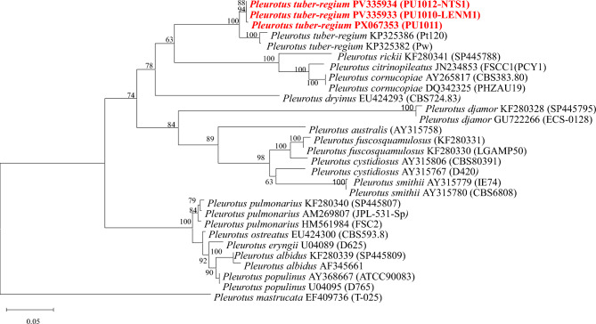 Figure 4