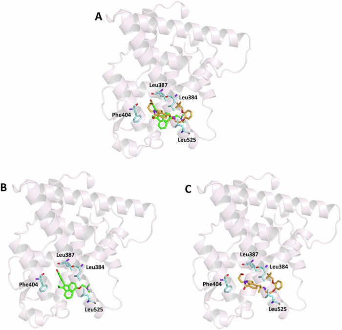 Figure 6