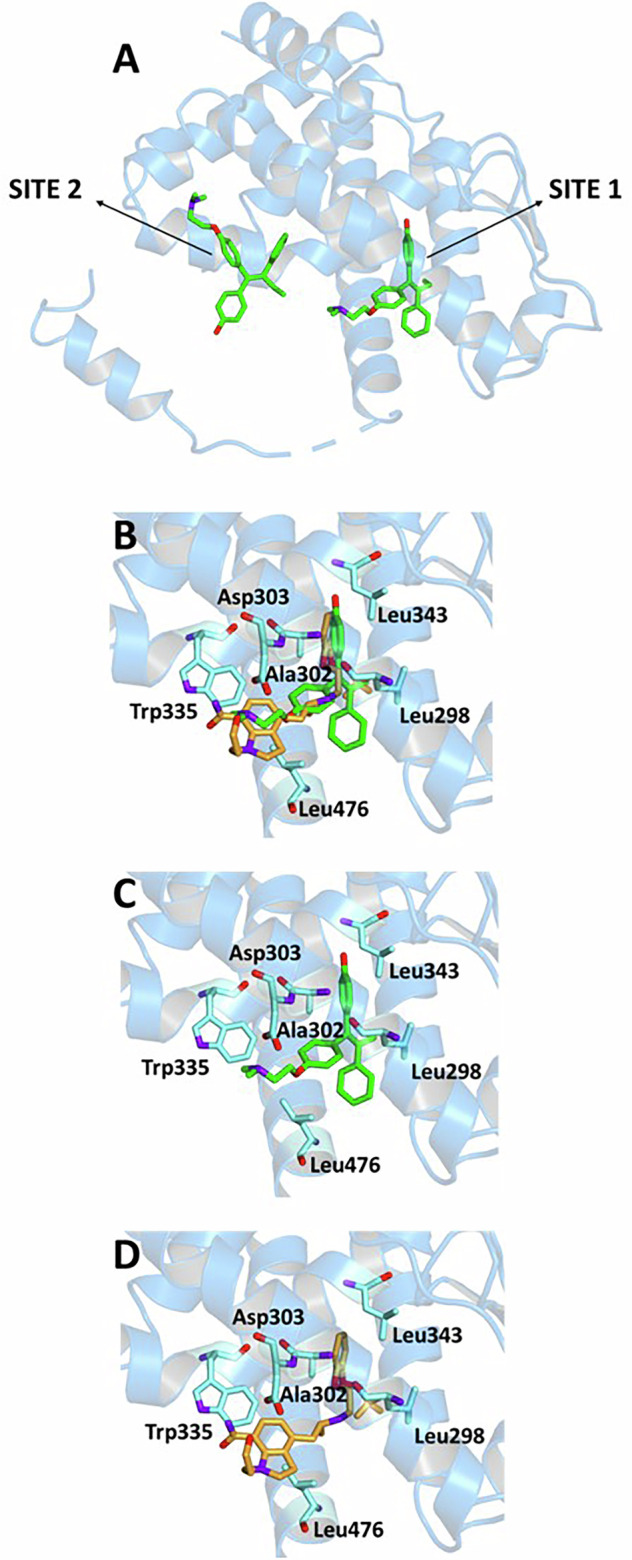 Figure 7
