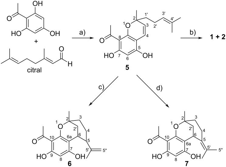 Scheme 1