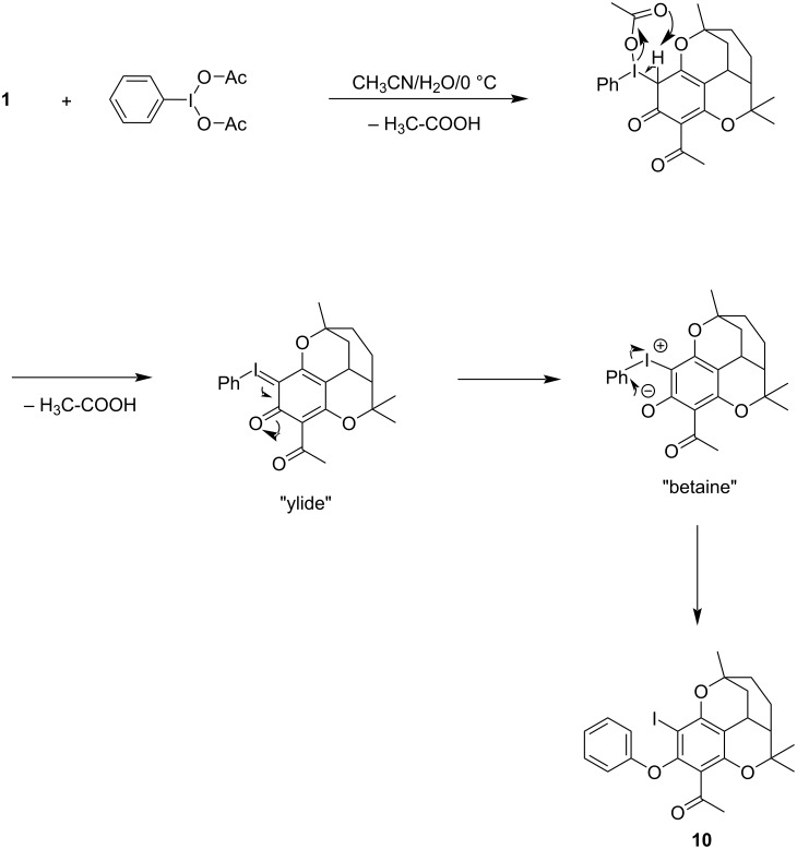 Scheme 2