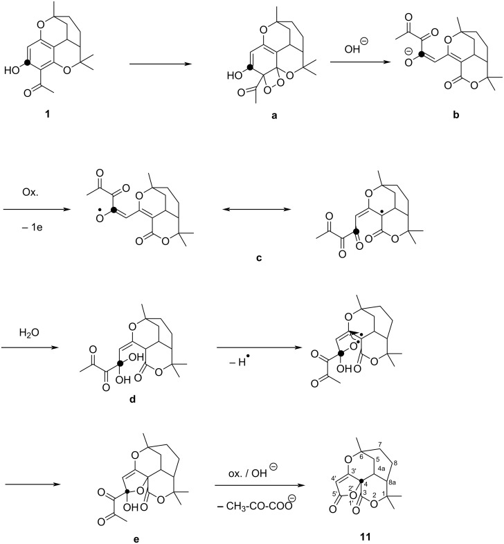 Scheme 3