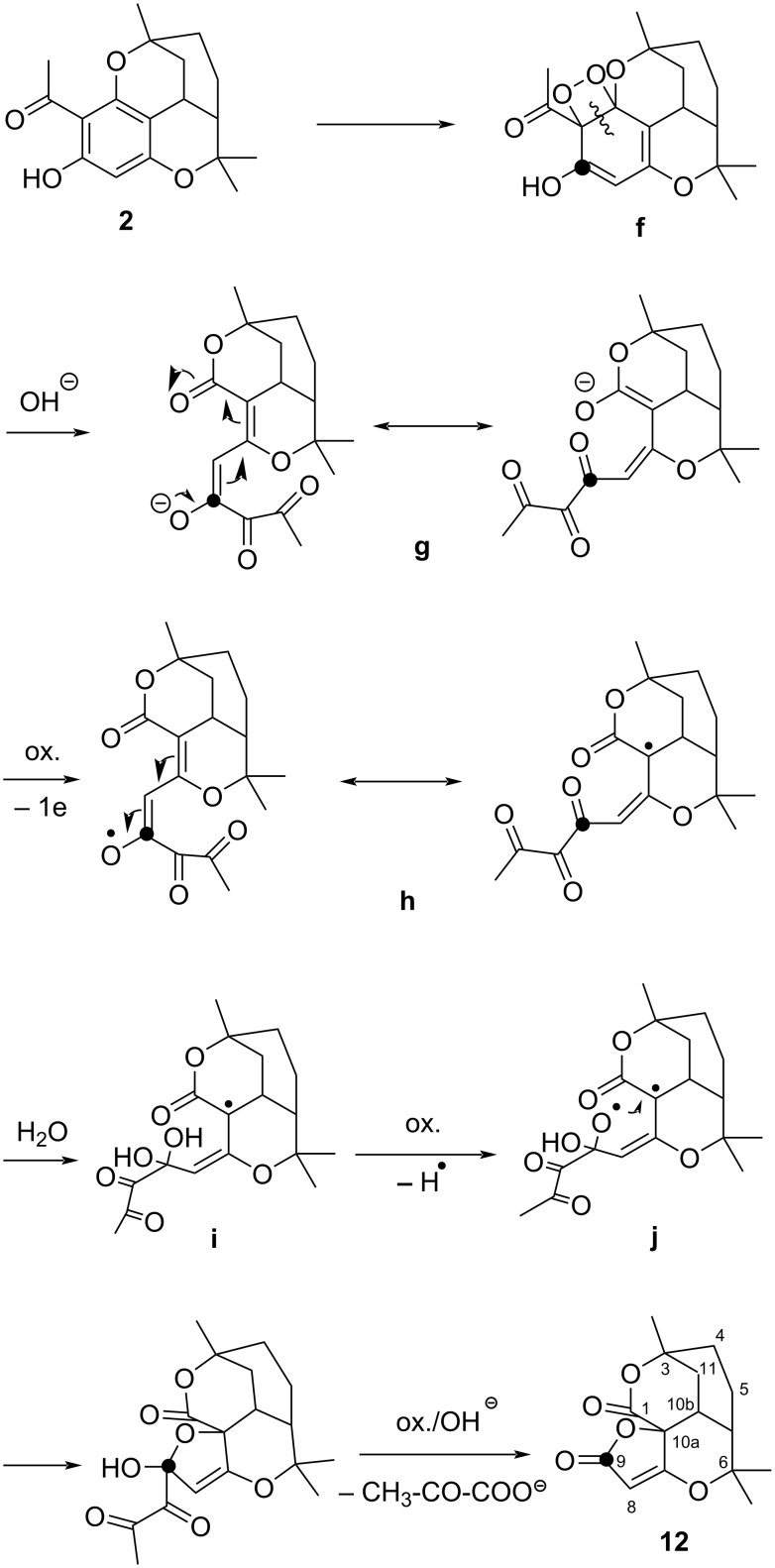 Scheme 4