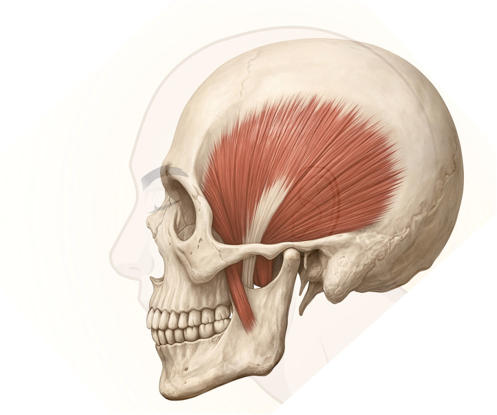 Figure 1