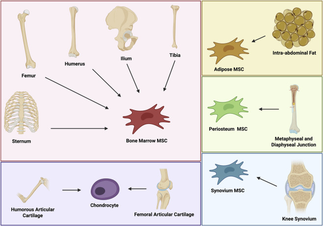 FIGURE 3