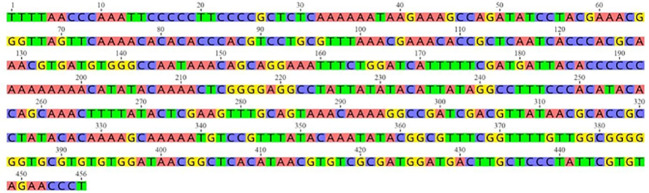 Figure 1