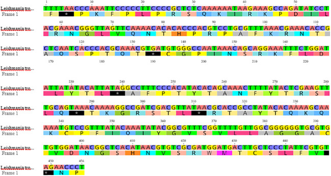 Figure 10