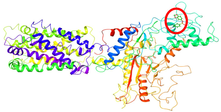 Figure 13
