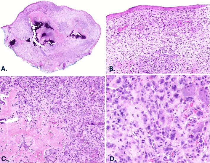 FIGURE 3