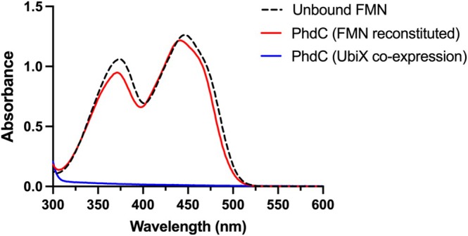 FIGURE 2