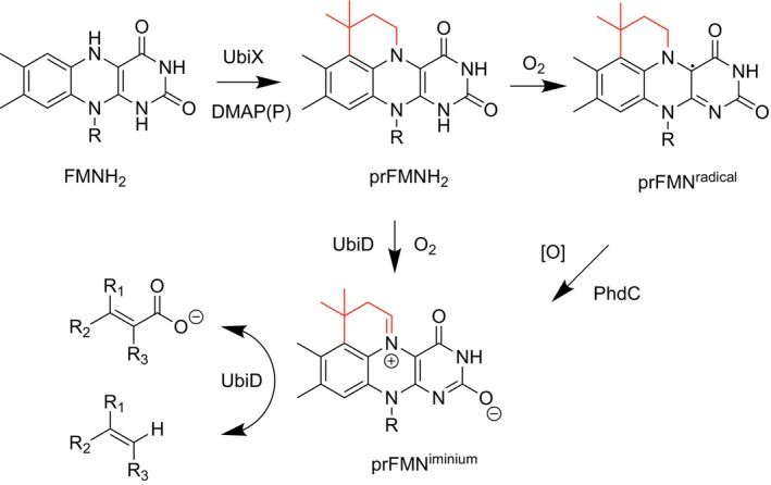 FIGURE 1