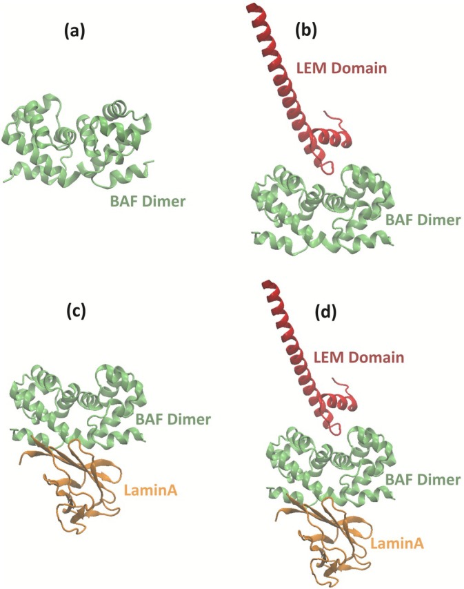 FIGURE 2