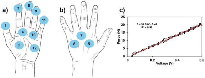 FIGURE 3