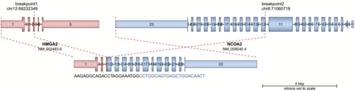 FIGURE 3