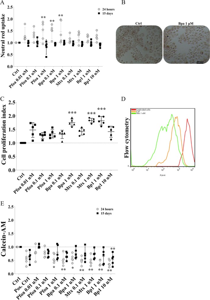 FIGURE 1