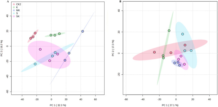 Figure 6