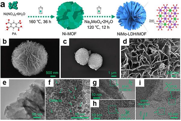 FIGURE 19