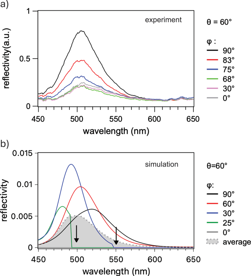 Figure 7
